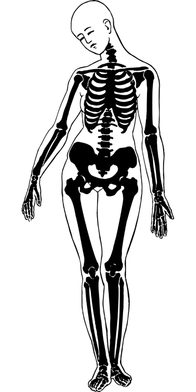 IGCSE Biology Model Solutions